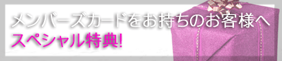 �X�y�V����