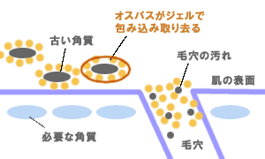 オスパスのメカニズム図